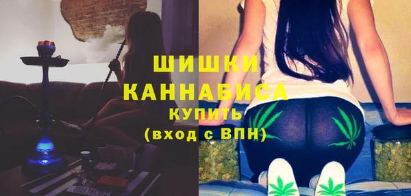 хмурый Зеленокумск