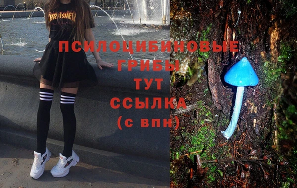хмурый Зеленокумск