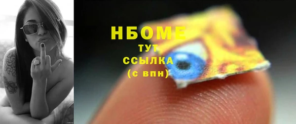 хмурый Зеленокумск