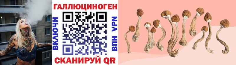 Купить закладки  Борзя  Псилоцибиновые грибы мухоморы 